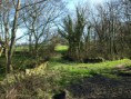 /album/my-local-birding-gallery/countryside-scene-at-ravensthorpe-dewsbury-jpg/